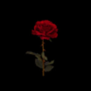 Meet your Posher, Siddhi